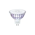 Philips Master Value LED Spot GU5.3 MR16 5.8W 490lm 36D - 940 Zimna Biel | Najlepsze renderowanie kolorów - Ściemnianie - Zamienne 35W